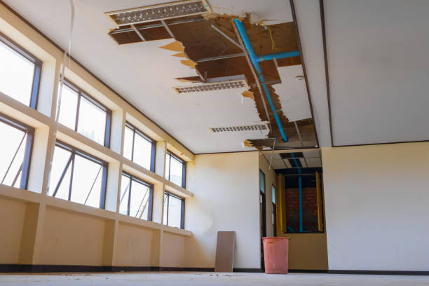 Best Water damage cleanup near me  in Philipsburg, MT