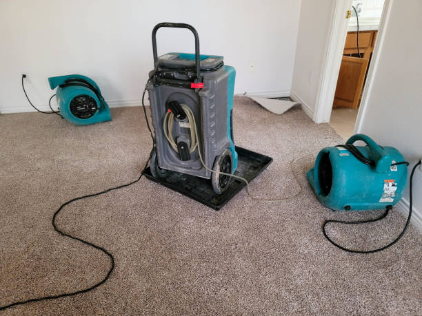 Best Water damage restoration near me  in Philipsburg, MT