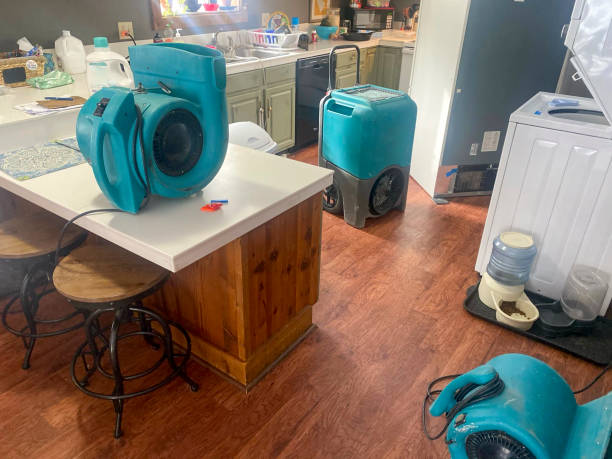 Best 24/7 water damage repair  in Philipsburg, MT