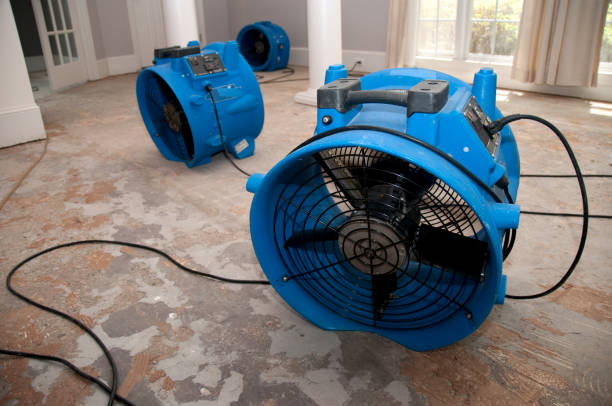 Best Professional water damage repair  in Philipsburg, MT