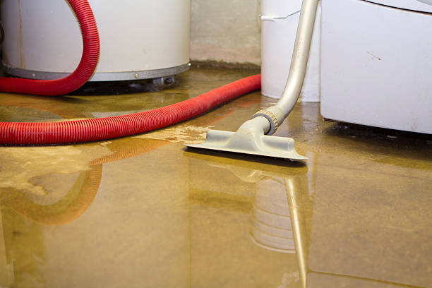 Best Basement water damage restoration  in Philipsburg, MT