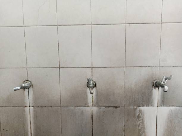 Best Ceiling water damage repair  in Philipsburg, MT