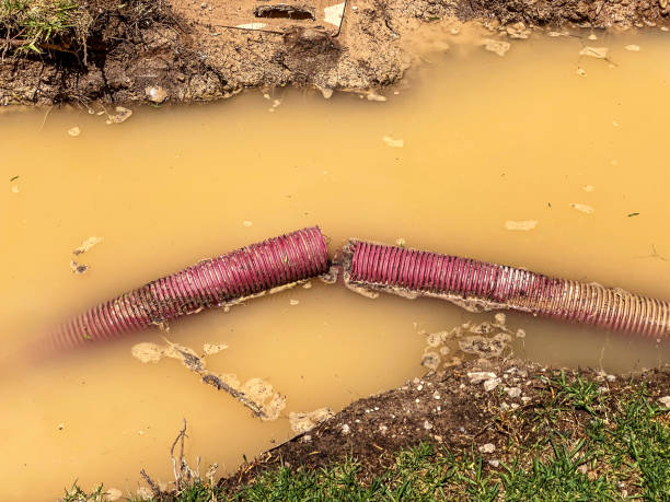  Philipsburg, MT Water damage restoration Pros